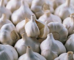 Самые полезные продукты питания – чеснок Самые полезные продукты питания – чеснок