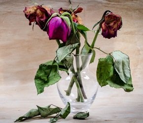 Супружеская измена – начало конца