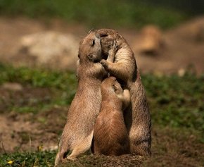 Самые счастливые моменты в жизни