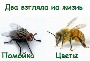Жаловаться на жизнь пагубная привычка! Жаловаться на жизнь пагубная привычка!