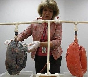 Реальный способ бросить курить – личный опыт 