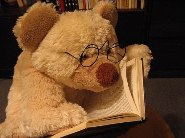 Зачем нужно читать книги и стоит ли читать? Зачем нужно читать книги и стоит ли читать?