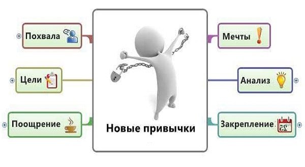 Формирование привычки Формирование привычки
