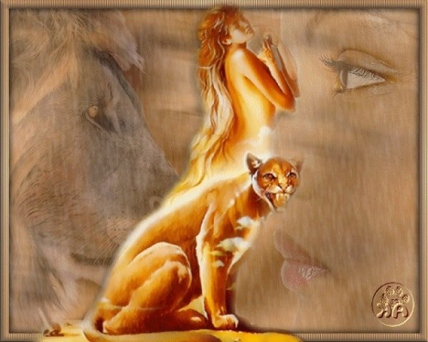 Все женщины кошки – так ли это? 