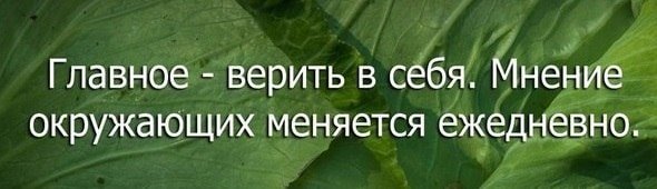 Мнение окружающих меняется ежедневно 