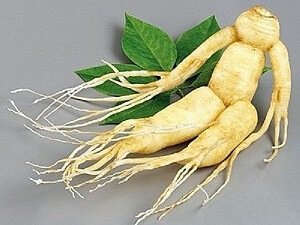 Корень женьшеня 