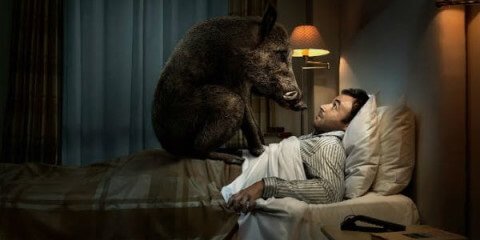 Снятся кошмары и страшные сны – причины и что делать Снятся кошмары